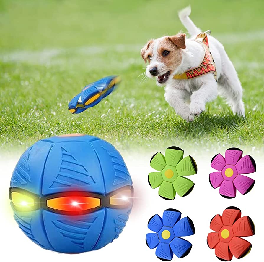 Dog Frisbee – product view 7