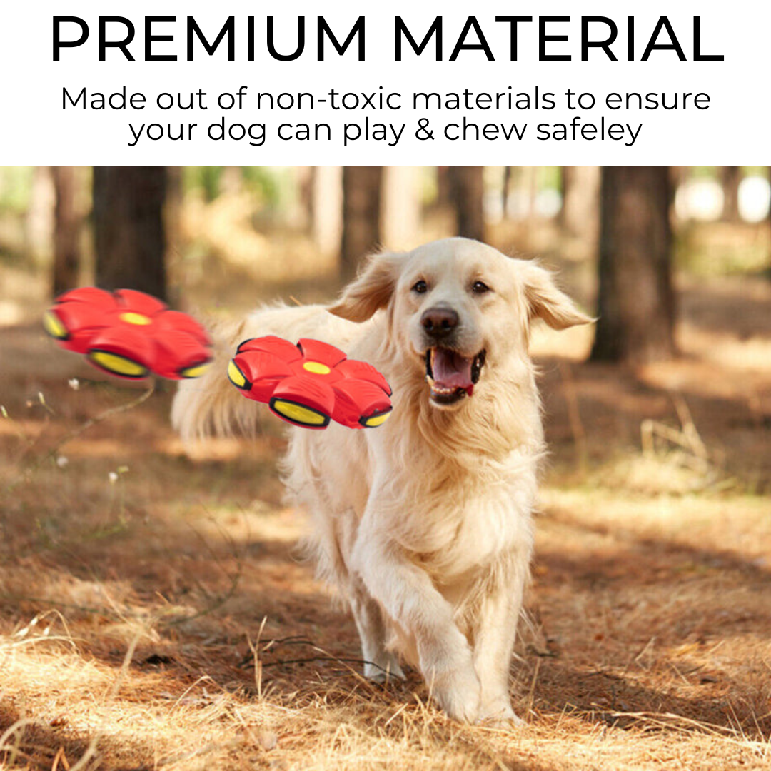Dog Frisbee – product view 4